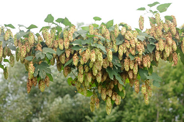 Similar image 5580504