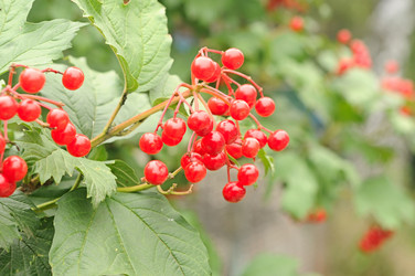 Similar image 5580505