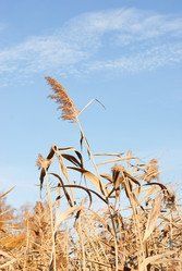 Similar image 5580510