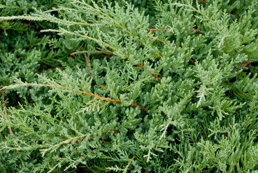 Similar image 5580512