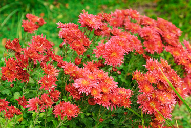 Similar image 5580518