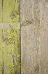 Similar image 5580527