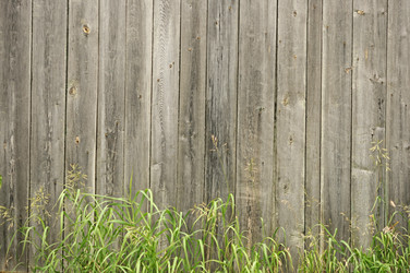 Similar image 5580530