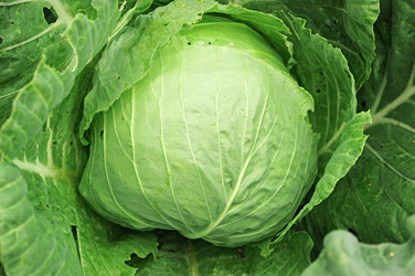 Similar image 5580531