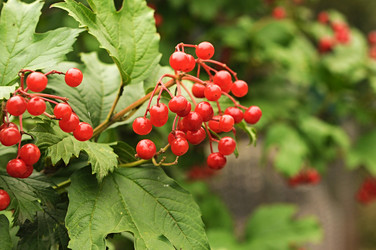 Similar image 5580534