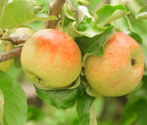 Similar image 5580539