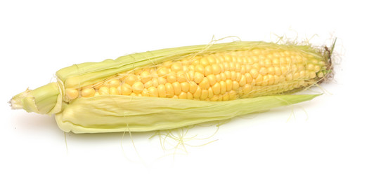 Similar image 5580599