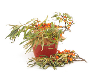 Similar image 5580624