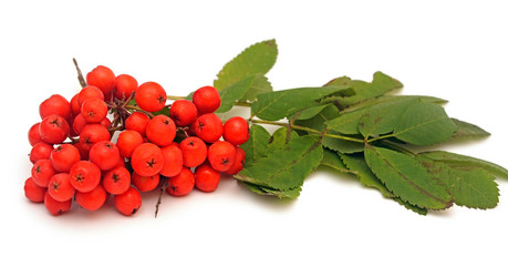 Similar image 5580626