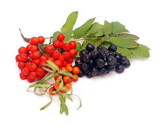 Similar image 5580627