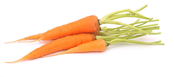 Similar image 5580639