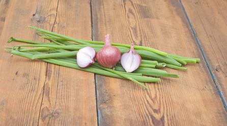 Similar image 5580642