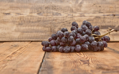 Similar image 5580646