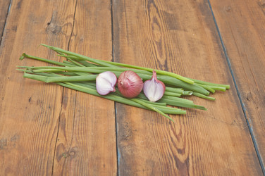 Similar image 5580650