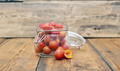 Similar image 5580653