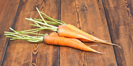 Similar image 5580691