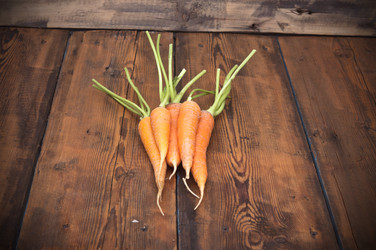 Similar image 5580698