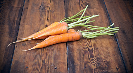 Similar image 5580699