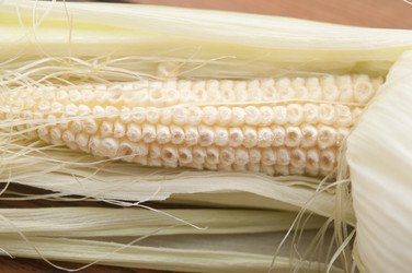 Similar image 5580758