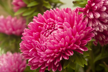 Similar image 5580802