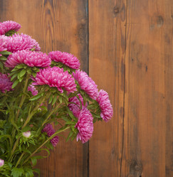 Similar image 5580804