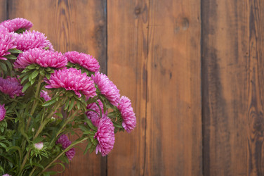 Similar image 5580806