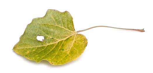 Similar image 5580817