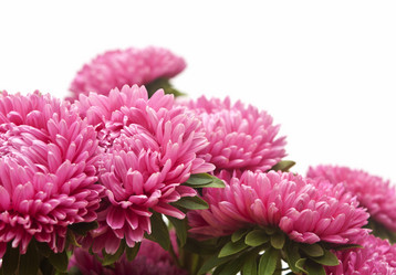 Similar image 5580819