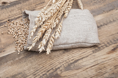 Similar image 5580846