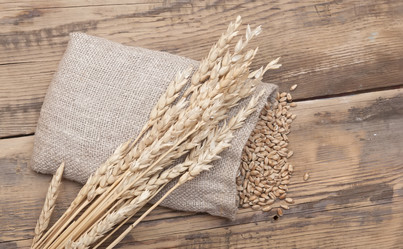 Similar image 5580847