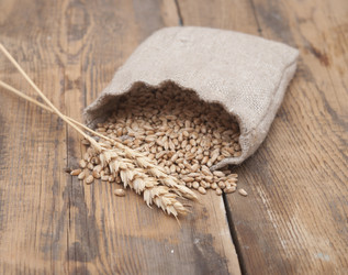 Similar image 5580848