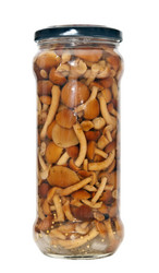 Similar image 5580901