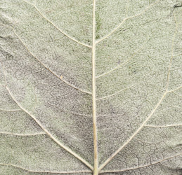 Similar image 5580949