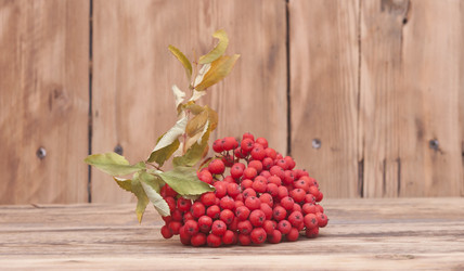 Similar image 5580956