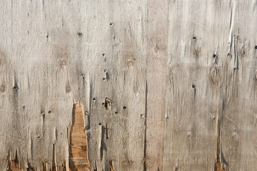 Similar image 5580965