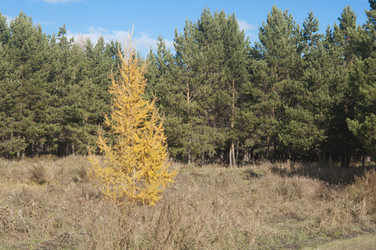 Similar image 5580968