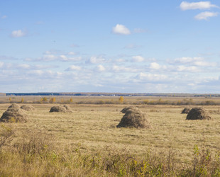 Similar image 5580969