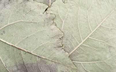 Similar image 5580973