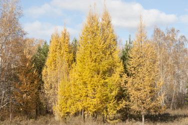 Similar image 5580980