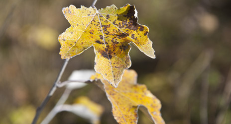 Similar image 5581044