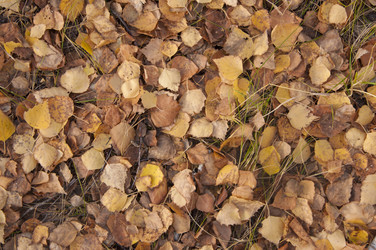 Similar image 5581047