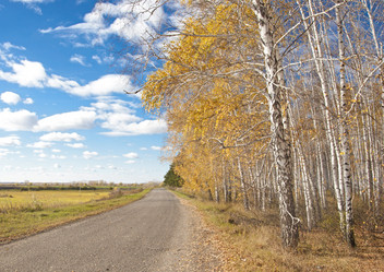 Similar image 5581049