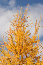 Similar image 5581052