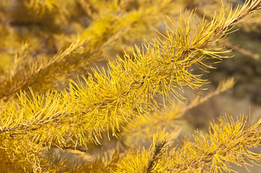 Similar image 5581053