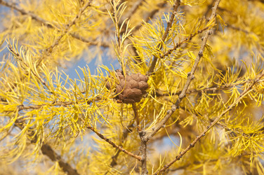 Similar image 5581054