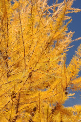 Similar image 5581056