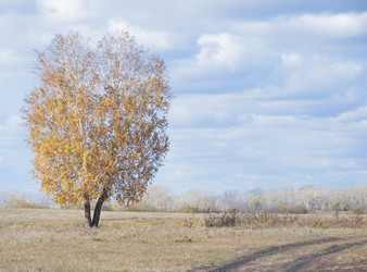 Similar image 5581071