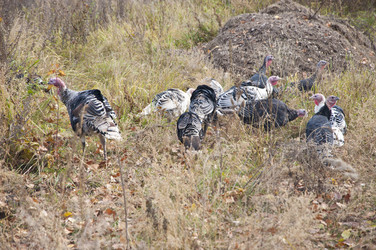 Similar image 5581073