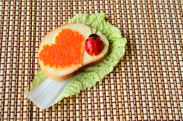 Similar image 5581365