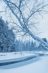 Similar image 5581494